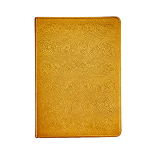 8"x 5" Lined Soft Cover Journal - Metalic Leather