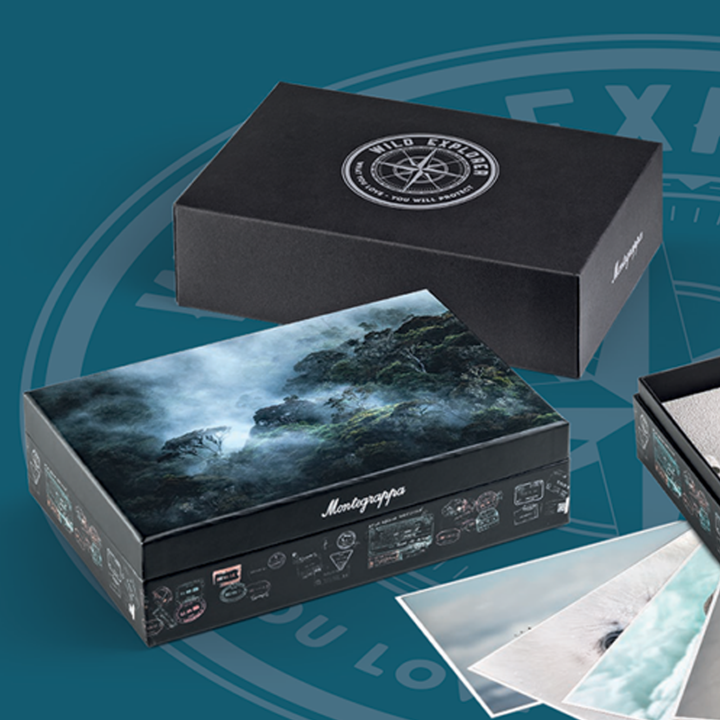 Montegrappa Wild: Arctic LE Rollerball