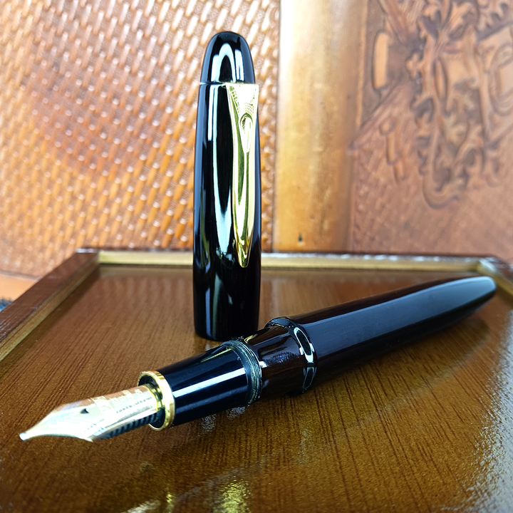 Platinum Izumo Bombay Black Wood (Tagayasan) Fountain Pen - Gloss