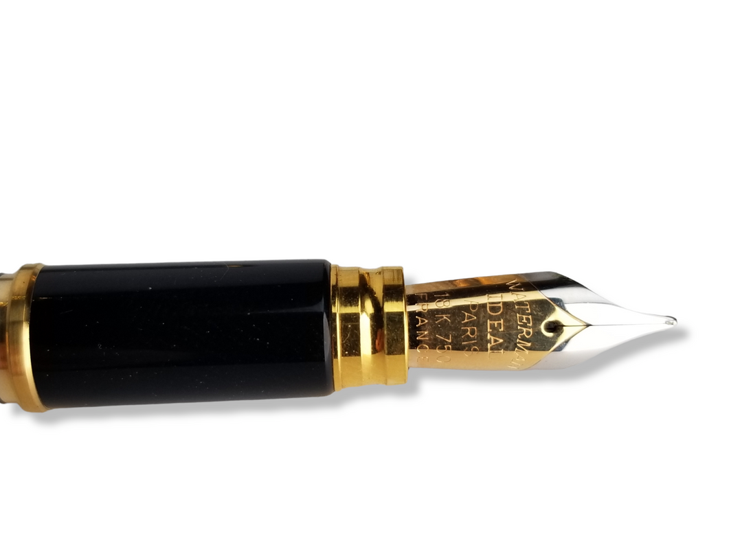 Waterman Le Man 200 Rhapsody Caviar Lizard Pattern Fountain Pen