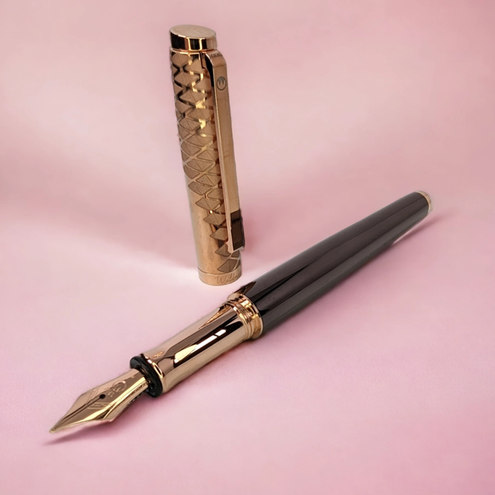 Waldmann Tuscany Fountain Pen - Vela - Steel