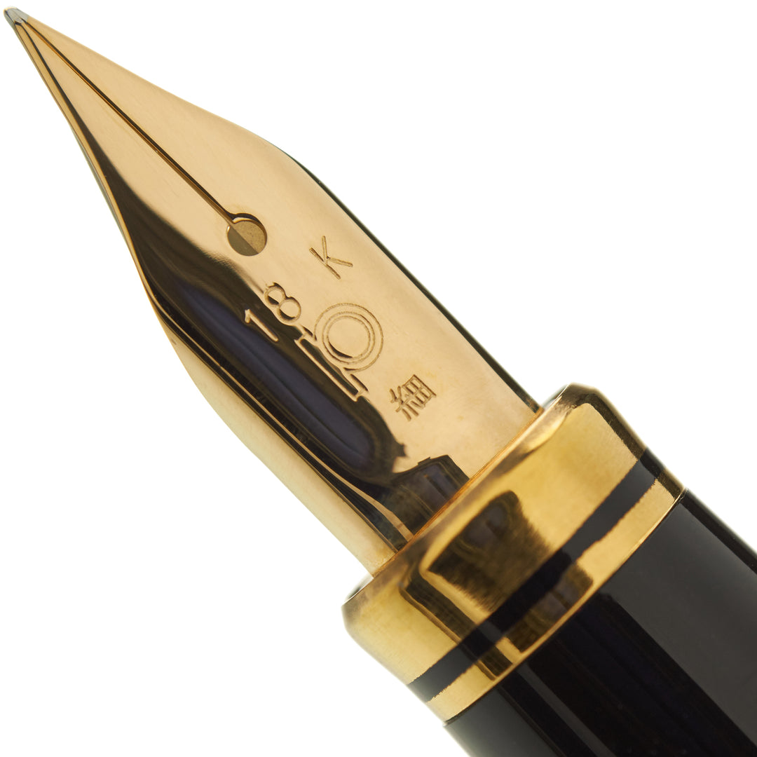 Platinum Classic Modern Maki-E Fountain Pen - Crane &amp; Mt. Fuji