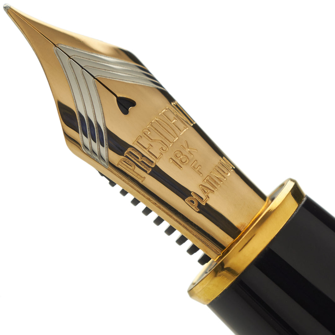 Platinum Izumo Hira Maki-E Fountain Pen - Pine Shore w/ Ocean Waves