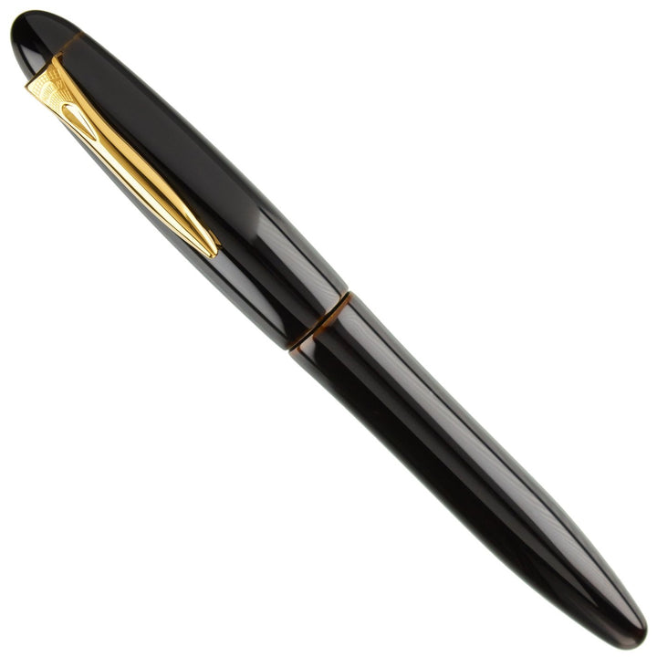 Platinum Izumo Urushi Fountain Pen - Biwatame
